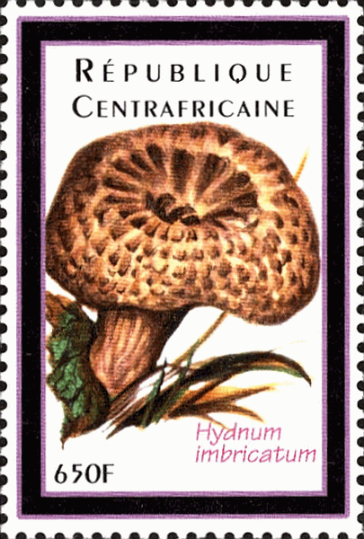 Briefmarke