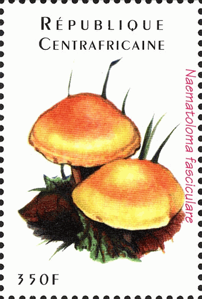 Briefmarke