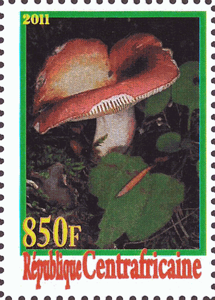 Briefmarke