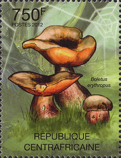 Briefmarke