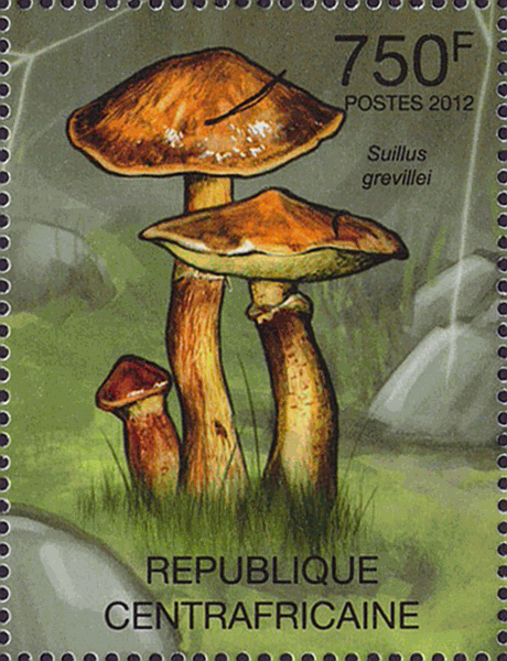Briefmarke