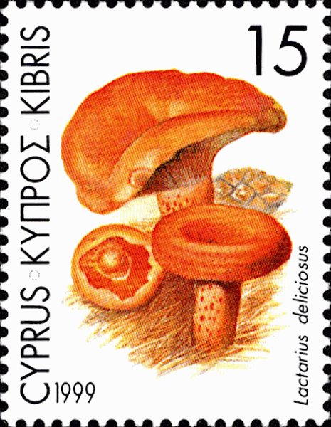 Briefmarke