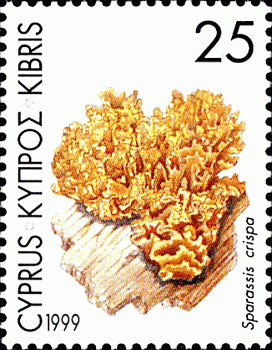 Briefmarke