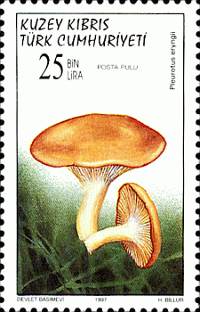 Briefmarke