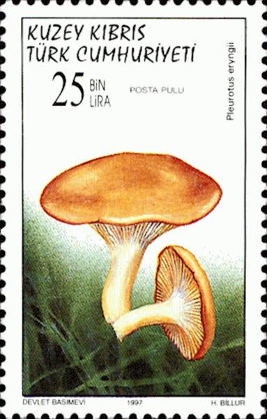 Briefmarke