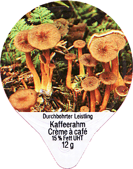 Kaffeerahmdeckel