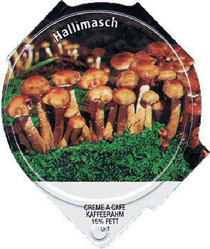 Kaffeerahmdeckel
