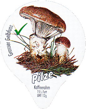 Kaffeerahmdeckel