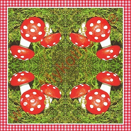 Serviette