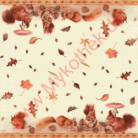 Serviette