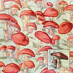 Serviette