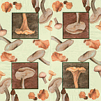 Serviette