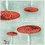 Serviette