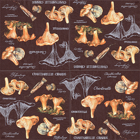 Serviette