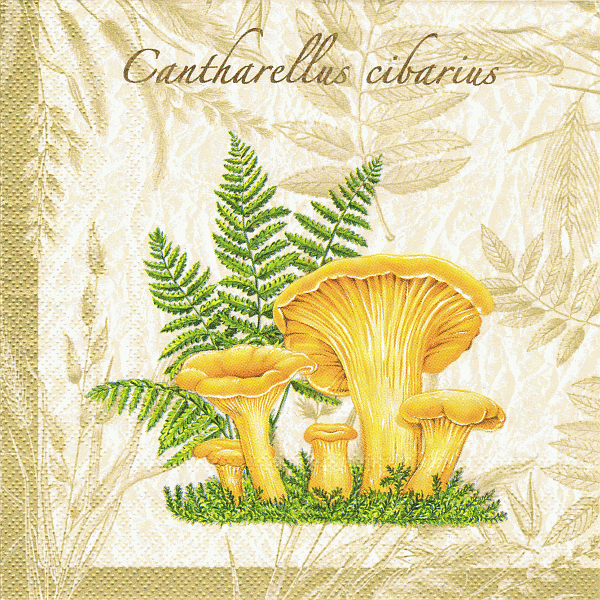 Serviette, ein Viertel