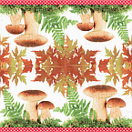 Serviette