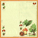 Serviette