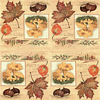 Serviette