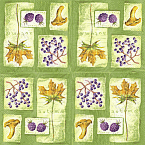 Serviette