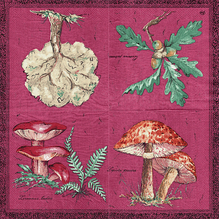 Serviette