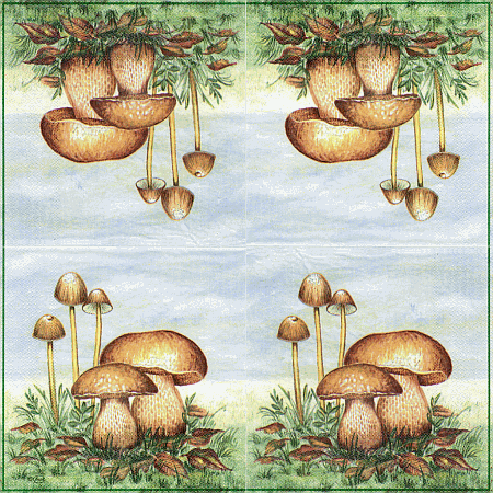 Serviette