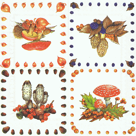 Serviette