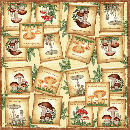 Serviette