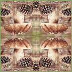 Serviette
