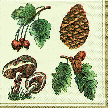 Serviette, ein Viertel