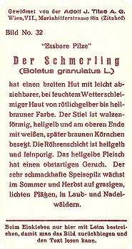 Reklamebild, R&uuml;ckseite
