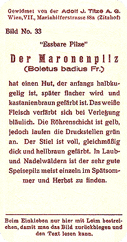 Reklamebild, R&uuml;ckseite