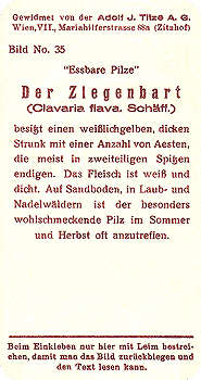 Reklamebild, R&uuml;ckseite