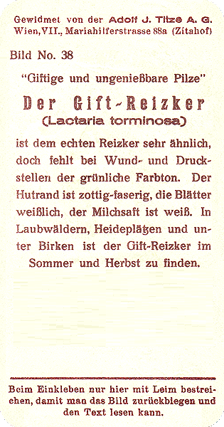 Reklamebild