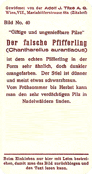 Reklamebild, R&uuml;ckseite
