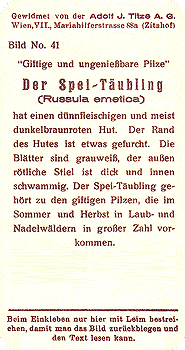 Reklamebild, R&uuml;ckseite