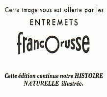 Entremets Francorusse