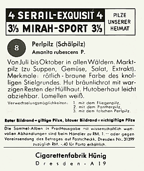 Reklamebild