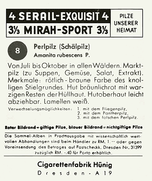Reklamebild
