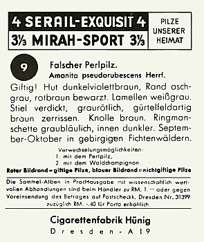 Reklamebild