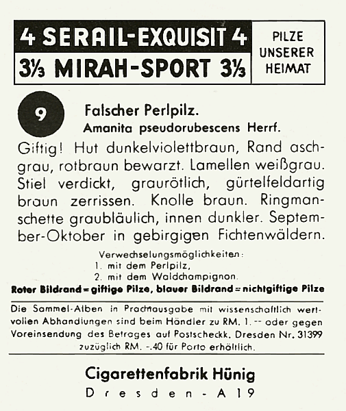 Reklamebild