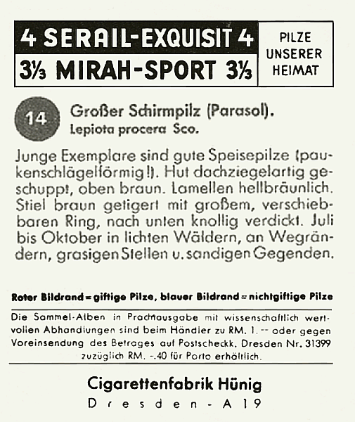 Reklamebild