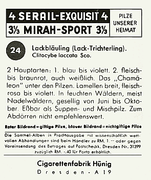 Reklamebild