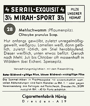 Reklamebild