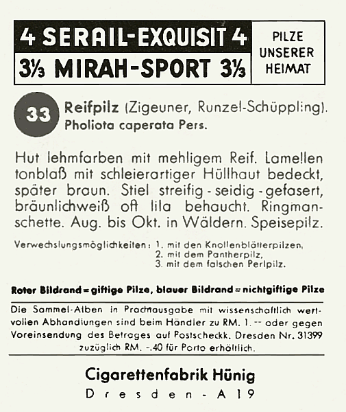 Reklamebild