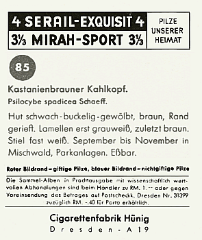 Reklamebild