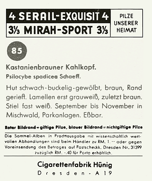Reklamebild