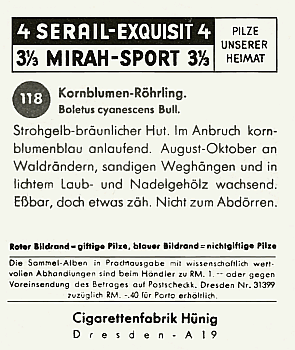 Reklamebild