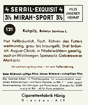 Reklamebild