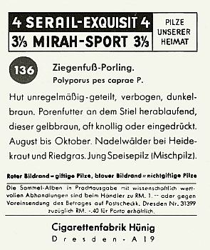 Reklamebild