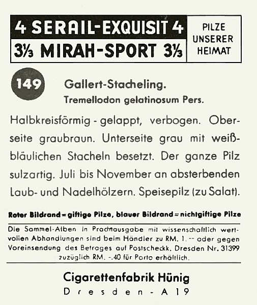 Reklamebild